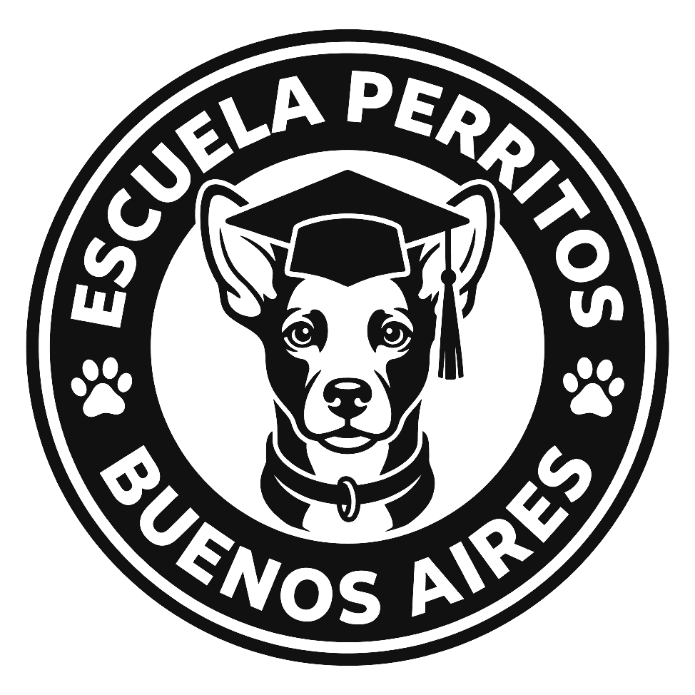 Escuela Perritos